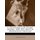 La Renaissance Du Drame Lyrique, 1600-1876 - Essai de Dramaturgie Musicale (Paperback): Albert Regnard