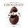 Essential Guide To Chocolate (Hardcover): J. Garcia Curado
