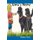 Oma's Home (Paperback): Donna Coco