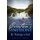 Creation's Symphony (Paperback): Timothy D. Stewart
