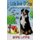 Little Book of Dogs - ... a few of my favourite breeds (Paperback): June Bourgo