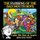 The Flossing of the Bad Mouth Boys - A Children's Story, Coloring and Activity Book (Paperback): Roland Lasher
