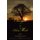 Changes Of The Mind - Thoughts With Sober Conclusions (Hardcover): Roberta M. Heck