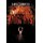 Picking Murphys (Hardcover): James Summers