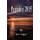 Paradox 2015 (Paperback): J. C. Viger