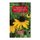 The Bees of North Carolina - An Identification Guide (Paperback): Elsa Youngsteadt, Hannah Levenson