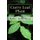 Curry Leaf Plant - Growing Practices and Nutritional Information (Paperback): Roby Jose Ciju