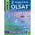 2 Practice Tests for the Olsat Grade 1 (2nd Grade Entry) Level B - Gifted and Talented Prep Grade 1 for Otis Lennon School...