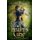 The Healer's Curse (Hardcover): Claire Leggett