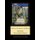 Artist's Garden at Vetheuil - Monet cross stitch pattern (Paperback): Kathleen George, Cross Stitch Collectibles