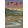 Restoring the Shining Waters - Superfund Success at Milltown, Montana (Hardcover): David Brooks