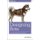 Designing Bots (Paperback): Amir Shevat