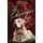 The Christmas Key (Large print, Paperback, Large type / large print edition): Phillipa Nefri Clark