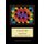 Fractal 144 - Fractal Cross Stitch Pattern (Large print, Paperback, Large type / large print edition): Kathleen George, Cross...
