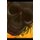 Assignment Book - Skulls (Paperback): Pulsifer Publisher