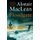 Floodgate (Paperback): Alistair MacLean