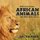 Getting to Know African Animals - With Real Safari Guides (Paperback): J. P Taylor
