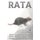 Rata - Hechos divertidos sobre animales pequenos #4 (Spanish, Paperback): Michelle Hawkins