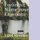 Feelings - Name your emotions (Paperback): Lizet Reveles