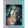Goddesses Susan Sedden Boulet (Diary): Susan Seddon Boulet