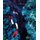 Environmental Science (Paperback, 15th edition): G. Miller, Scott Spoolman