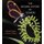 The Natural History of Flowers (Hardcover): Michael Fogden, Patricia Fogden