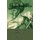 Barbarosa - The Sword of Islam (Paperback): Rodney S Quinn