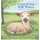 Green Grass & Still Waters (Hardcover): Kelli Carruth Miller