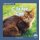 Alphabet Fun: C is for Cat (Paperback): Meg Gaertner