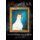 Love and War - The Eventful Life & Times of Polly & John Marshall (Hardcover): Jaquelin Payne Taylor
