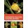 Photographic Field Guide to Australian Frogs (Paperback): Mark G. Sanders
