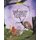 Winslow Learns A Lesson (Paperback): Renee Barnes