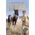 Daniel - To Find My God (Paperback): Stephen Thornton