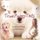 True Puppy Tails (Paperback): Gaile Harpan