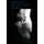 Horizon of the Dog Woman (Paperback): Rebecca Pelky