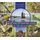 Birds and Beacons of Michigan (Paperback): Kimberly Kotzian, John Kotzian