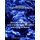 Brookgarbolt's SAT & ACT Preparation Grammar Book (Paperback): Robert Brookgarbolt