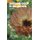 Digging Deep in the Garden, Book Three (Paperback): John Walker