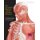Illustrated Portfolio of Human Anatomy & Pathology, 2nd Edition - The Definitive Collection of 30 Anatomical Charts of the...