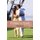 Flavor of Love - For Her Love (Hardcover): Scott Charles