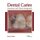 Dental Caries: Assessment and Clinical Management (Hardcover): Marcus Ward