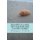 Balade le long des falaises des Vaches Noires (French, Paperback): Francois Collin