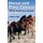 Horse and Pony Colours - Which one would you choose? (Paperback): Lesley Lodge