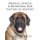 Medical, Genetic & Behavioral Risk Factors of Mastiffs (Paperback): DVM Ross D Clark
