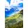 Vibrant Landscape (Paperback): Gold Standard Books