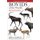 Bovids of the World - Antelopes, Gazelles, Cattle, Goats, Sheep, and Relatives (Paperback): Jose R. Castello
