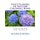 State Flowers of the USA Coloring Book - For Students and Teachers (Paperback): Heather Burns