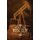 Rose City (Paperback): Michael Pool