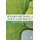 Research Methods for Health Care Practice (Paperback): Frances Griffiths