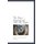 The Ship's Company and Other Sea People (Paperback): James Douglas Jerrold Kelley